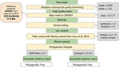 Outbreak of Saprochaete clavata Sepsis in Hematology Patients: Combined Use of MALDI-TOF and Sequencing Strategy to Identify and Correlate the Episodes